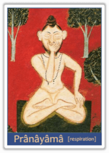 prana2