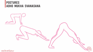 adho mukha svanasana copy