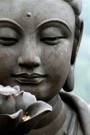 Pensée du Soir – Gratitude – Padma Mudra