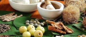 Chyawanprash02