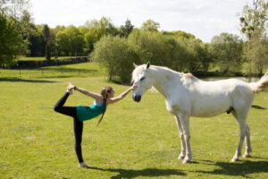 natarajasana avec un cheval
