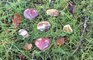 le bois devient mineral resized
