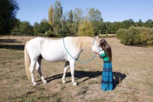 Cheval gueri de la teigne