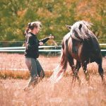 Sejours bien etre cheval cavalier 2 150x150 1