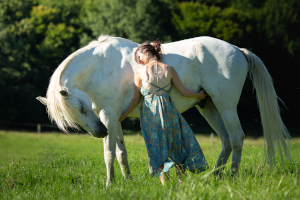Soulager son cheval au quotidien avec le shiatsu — Equi-Libre Equin