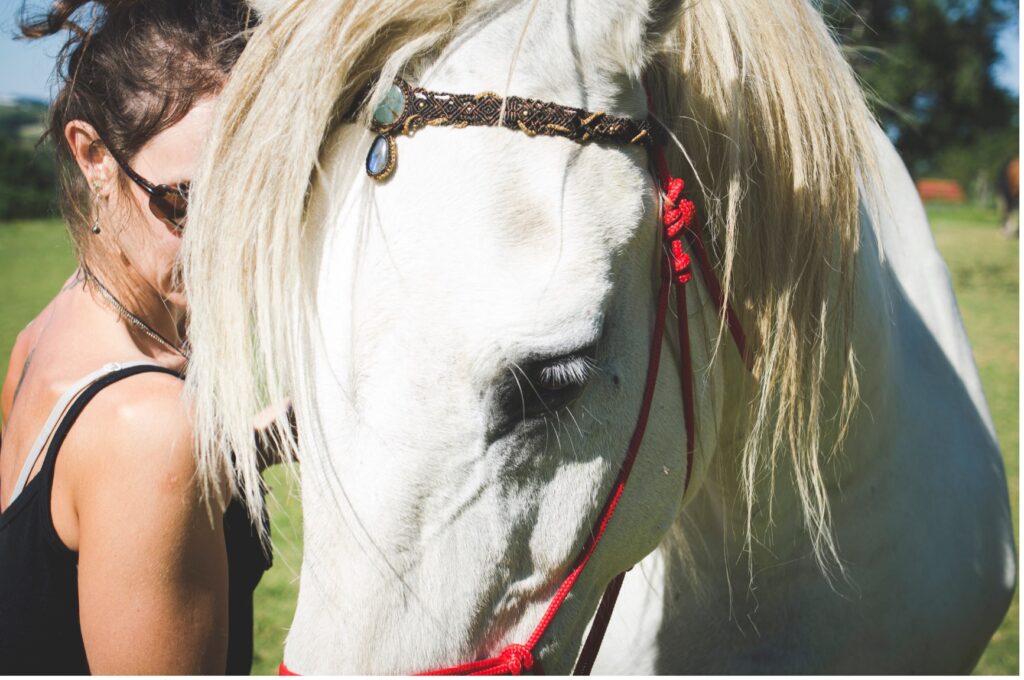 Lithotherapie equine